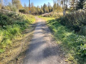 Kuntoradan möykkyinen pätkä Hönttämäessä.