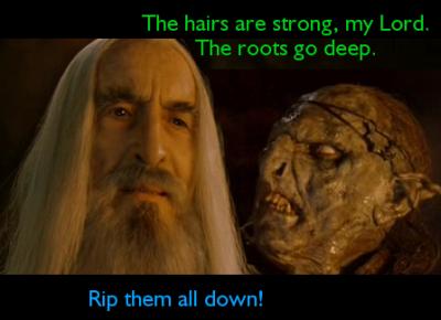 Saruman ja örkki. Örkki katselee Sarumanin päätä ja sanoo: "The hairs are strong, my Lord. The roots go deep." Saruman sanoo: "Rip them all down!"