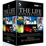 The Life Collection -dvd-boksi