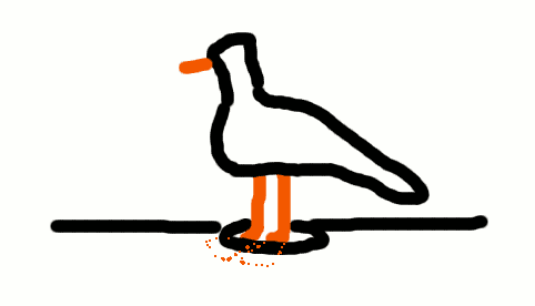 Lokkimainen lintu, joka on jaloistaan kiinni asfaltissa olevassa reiässä