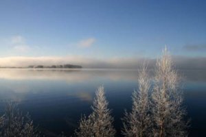 Jäätyneitä puita rannalla