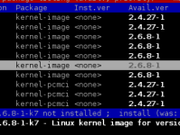Sid/Dselect: kernel-image-2.6.8-1-k7