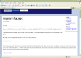 Kuvakaappaus: Internet Explorer: mummila.net