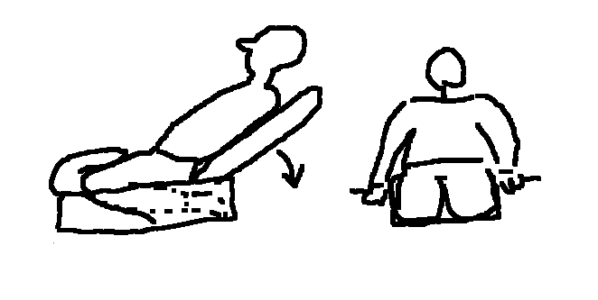 Tiedosto:Reisipuristin.png