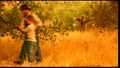 Mies ja poika poistumassa pellolta (Starkweather-DVD).jpg